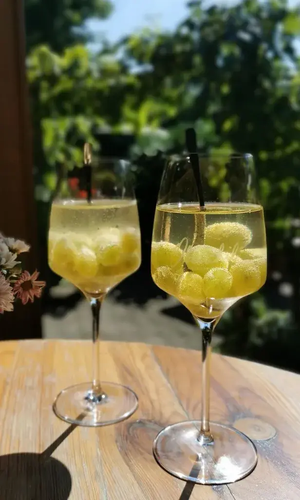 Winery and vineyard Stefan & Theres Oberschil_Hagenbrunn_slider_image_2