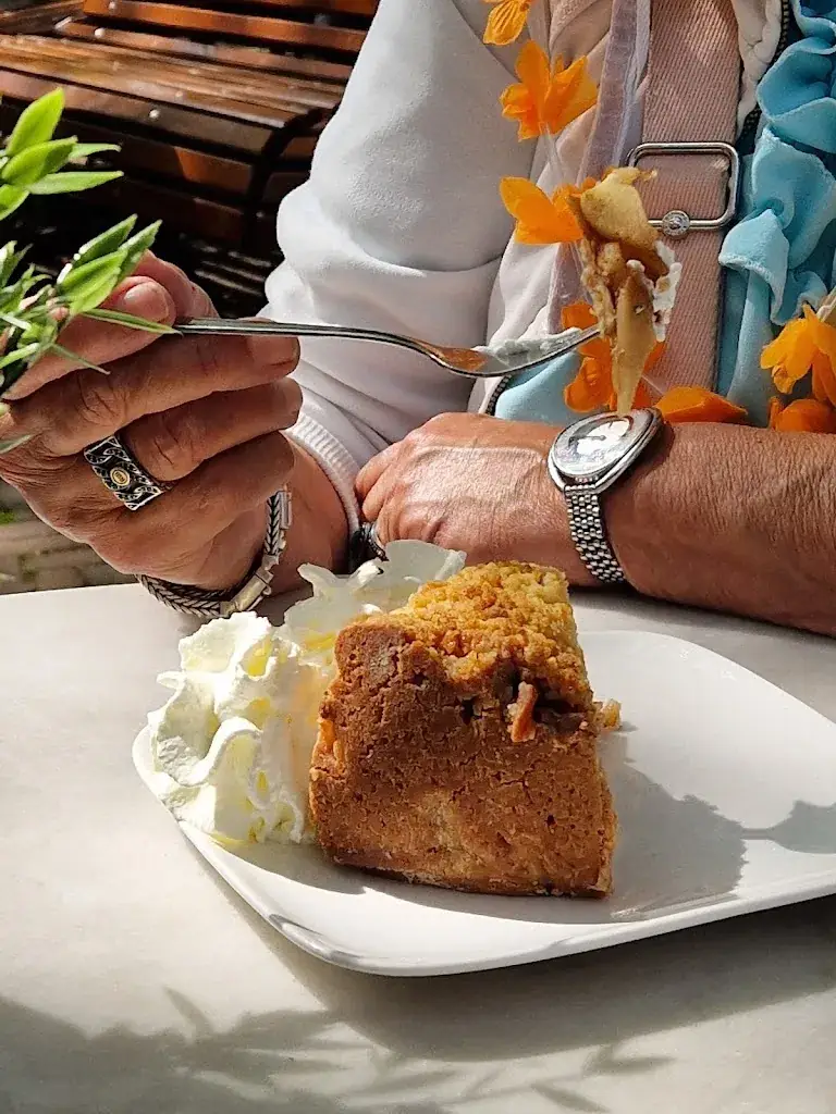 Mike Michels_Zebedeus_Haag_recensione