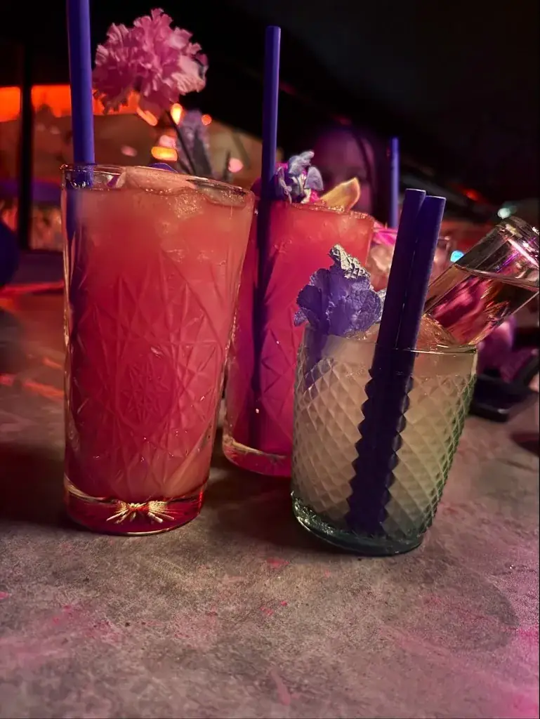 Hildah_ Alyeshea_Luden Den Haag_Haag_recensione