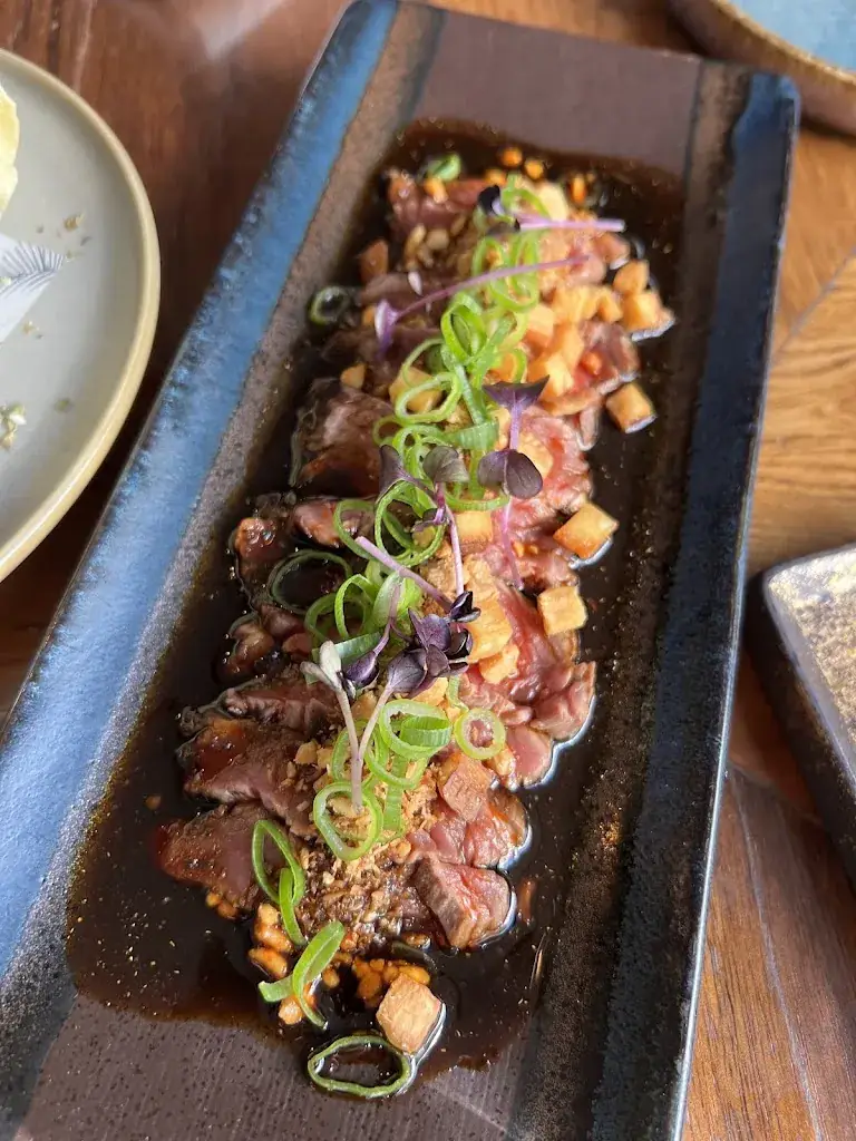 Jovano Erris Nugroho_Dekxels_Haag_avis