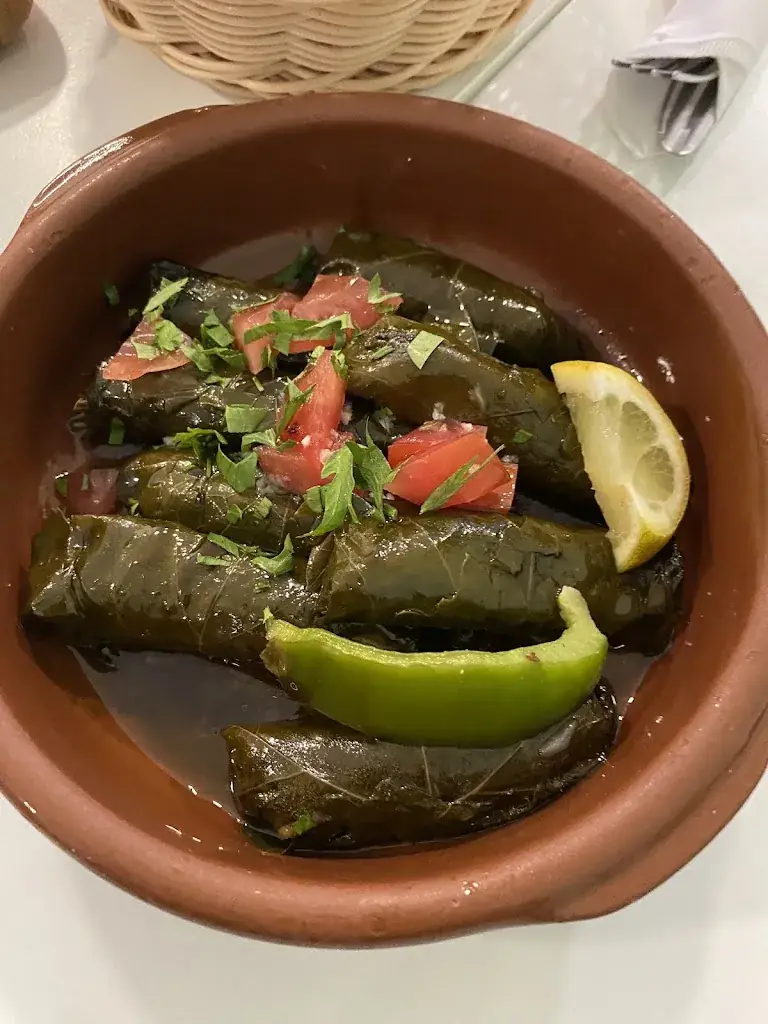 Menu_Falafel en Hummus_Haag_image_9