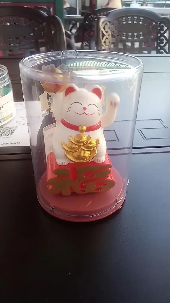 Alex S._DaDa China Restaurant Hainburg_Hainburg an der Donau_avis