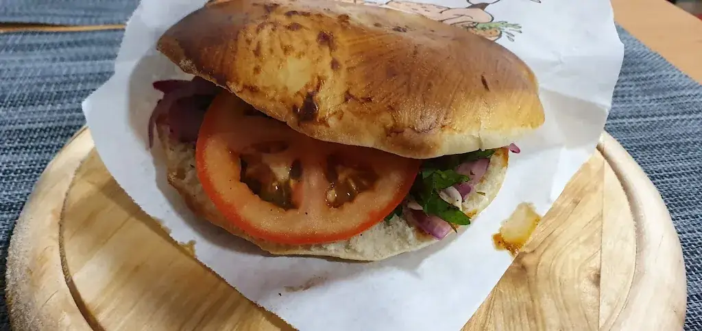 Ahmet Erdoğan_Chicken & Burger_Hainburg an der Donau_review