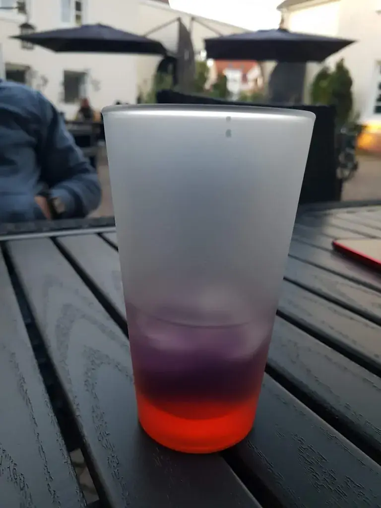 Menu_Hotel & Restaurant Schloß Hainfeld_Hainfeld_immagine_8