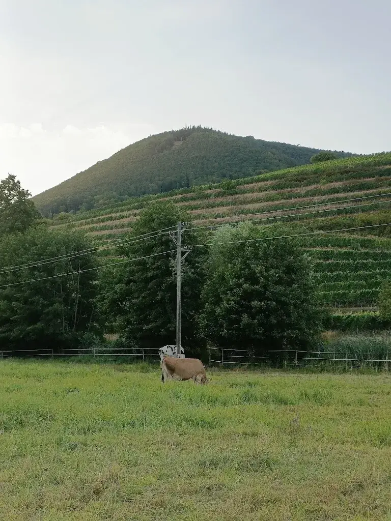 Shivani Gounden_Landrestaurant Burrweiler Mühle_Hainfeld_avis