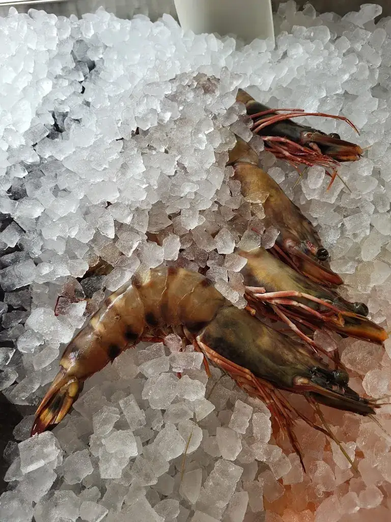 Menu_Fisch Restaurant Navagio_Hinterbrühl_image_8