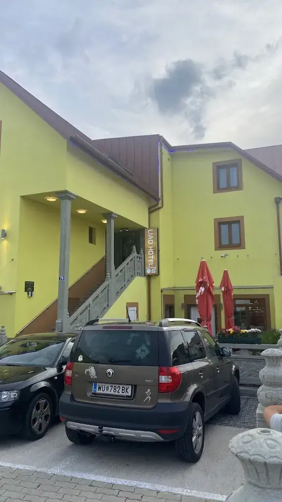 Karel Kvita_Mr. Liao_Himberg_avis