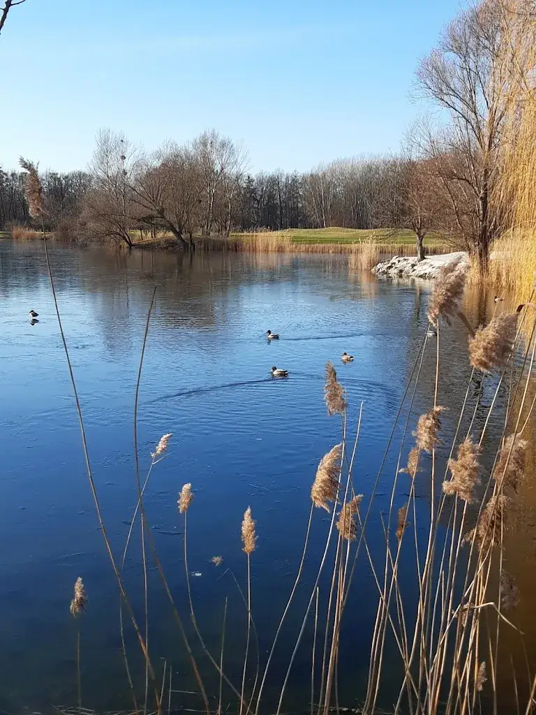 Golfclub_Himberg_slider_image_2