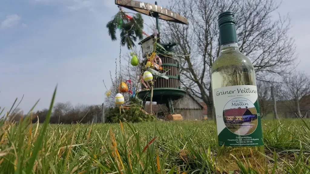 Menu_Presshausheuriger Mallin_Hochleithen_immagine_3