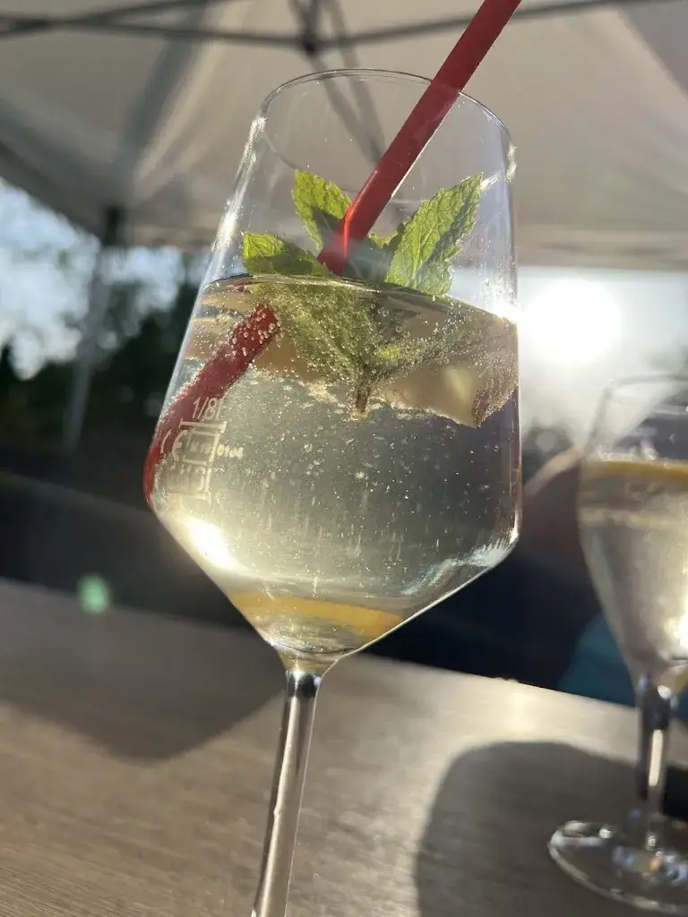 Lisa_Landeplatzl_Hof am Leithaberge_recensione