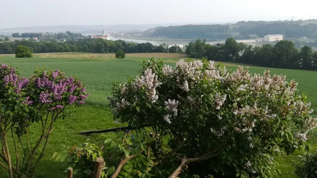 Franz Nagl KEG_Hofamt Priel_slider_image_2