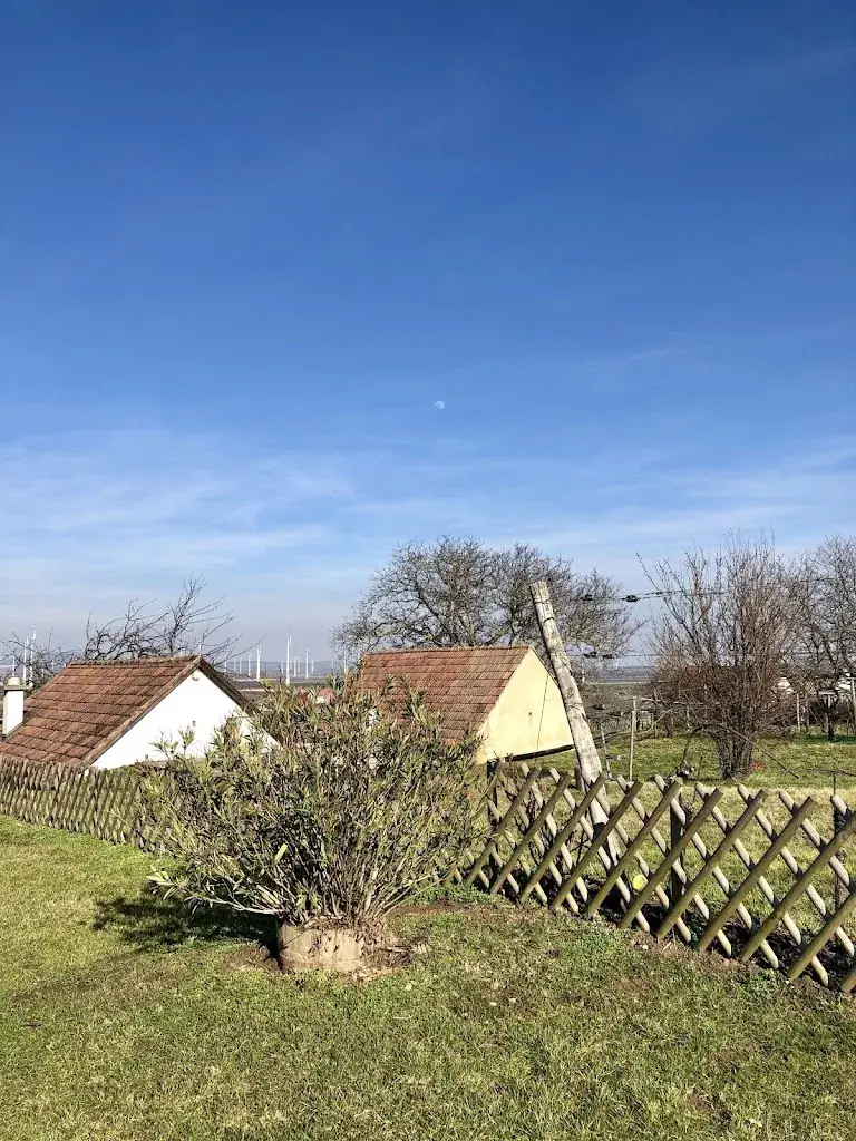 Peter G._Heurigenlokal Anton Rödler_Höflein_review