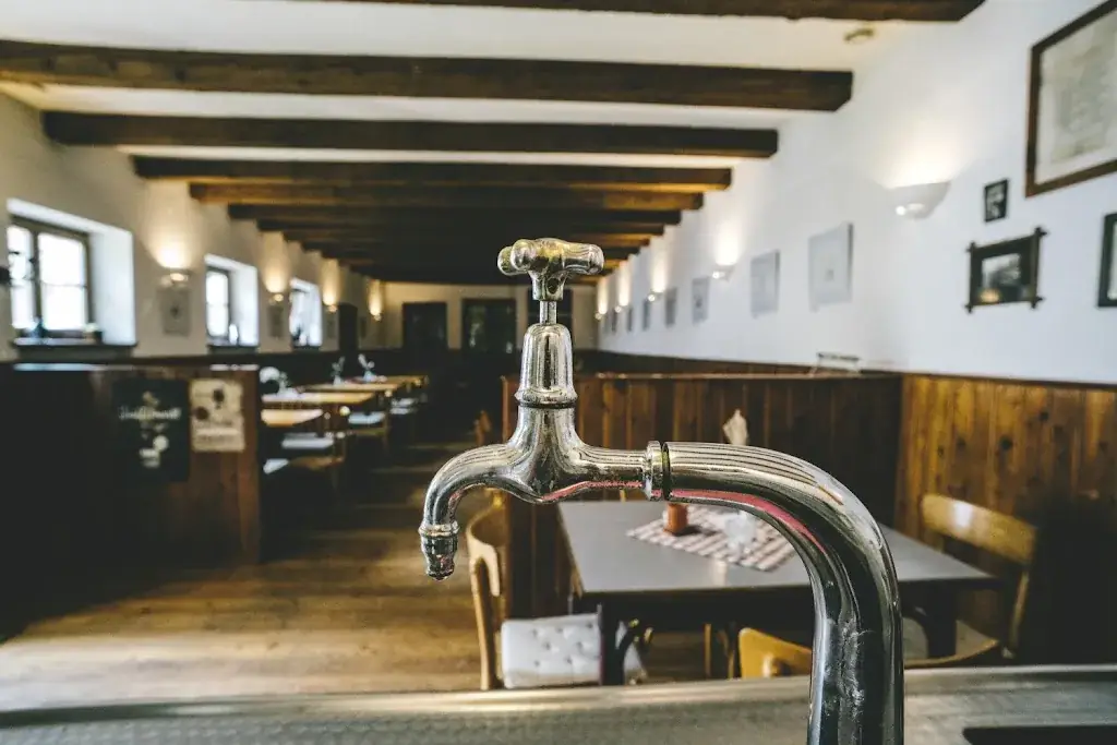 ARTNER Heuriger im alten Bauernhof ristorante a Höflein