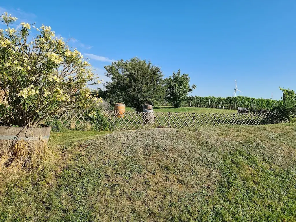 Liane Dreier_Heuriger am Hohen Weg Weinbau Anton Rödler_Höflein_review