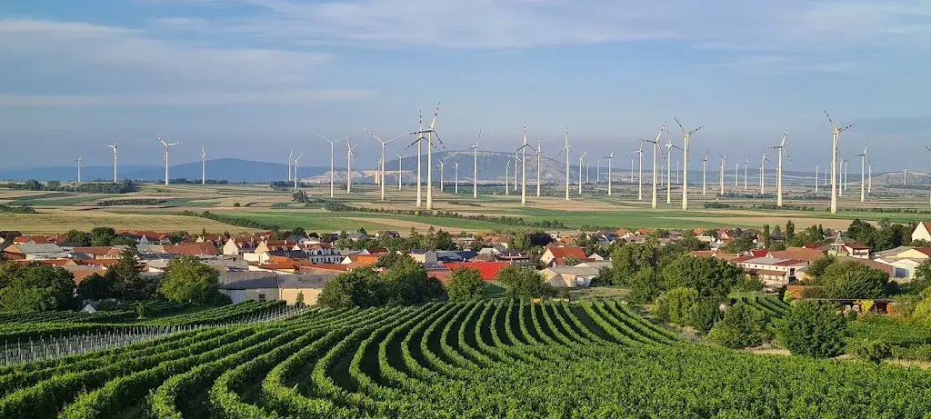 Heuriger am Hohen Weg Weinbau Anton Rödler_Höflein_slider_image_3