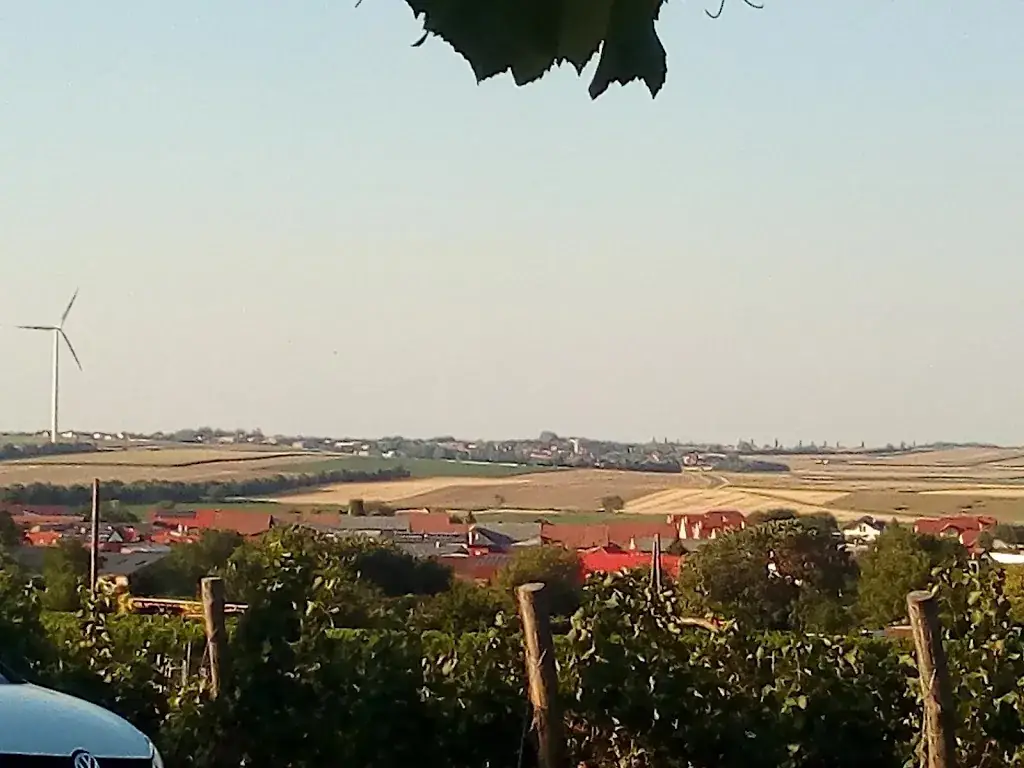 Manfred Weisser_Schmankerlheuriger Höflein_Höflein_review