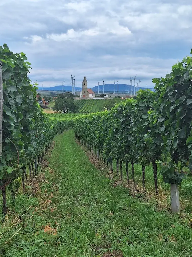 Schmankerlheuriger Höflein_Höflein_slider_image_1