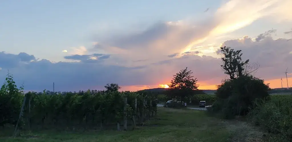 J M_Panoramaheuriger Familie Schoderitz_Höflein_recensione