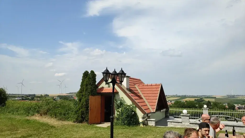 Martin Kvasnica_Panoramaheuriger Familie Schoderitz_Höflein_recensione