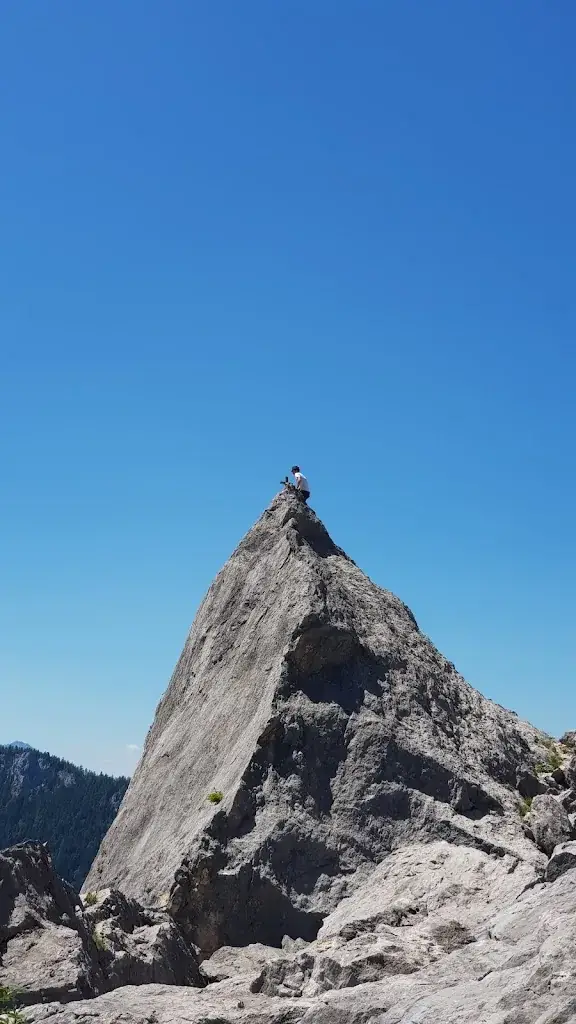 Michael Holzleithner_Alpengasthof Hütteneckalm_Hutten_review