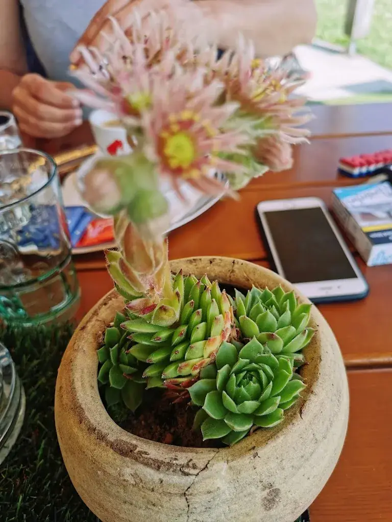 Menu_LAKE_Jaidhof_immagine_6