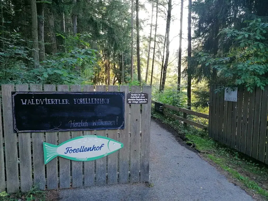 Paweł Urbanowski_Waldviertler Forellenhof_Jaidhof_recensione