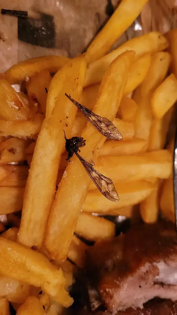 Max E_MoMo - Der Dorfwirt_Kaltenleutgeben_review