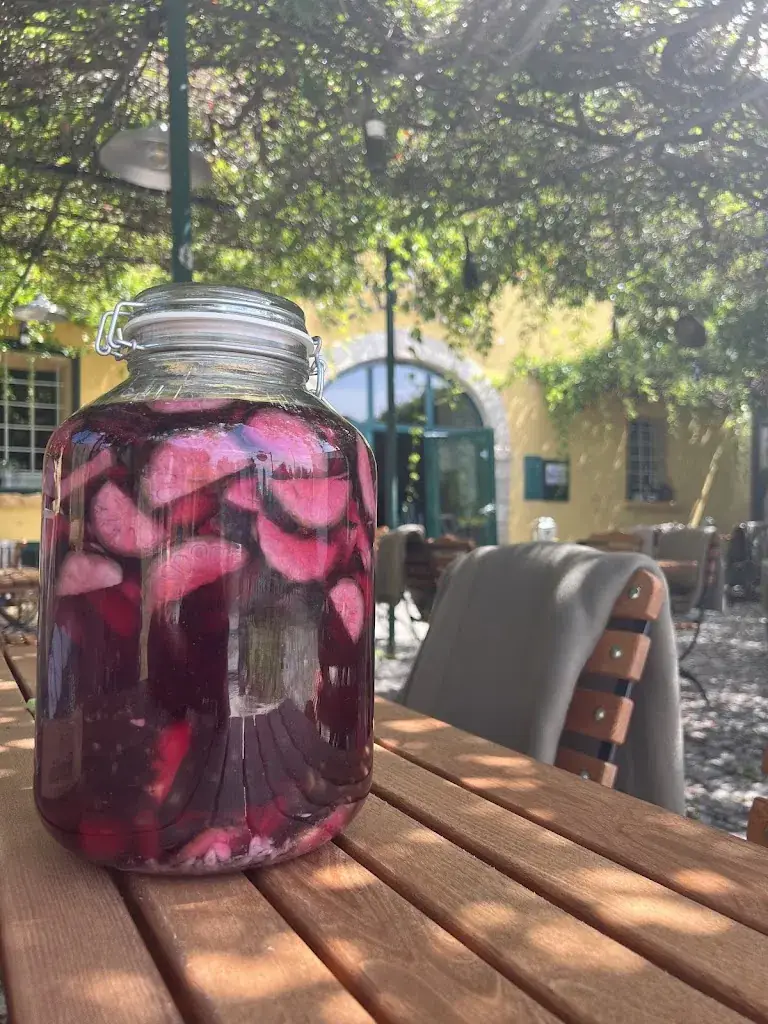 Altes Kellerhaus restaurant in Katzelsdorf