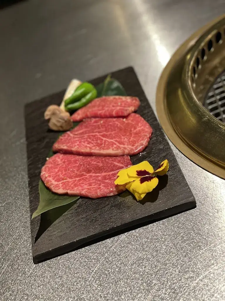 Menu_Yakiniku Rikyu_Japons_immagine_6