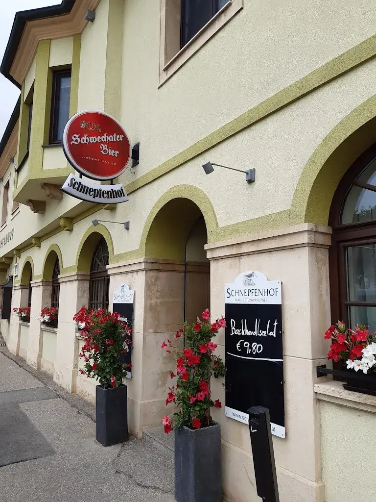 SCHNEPFENHOF Gasthaus & Weingut restaurant à Jois