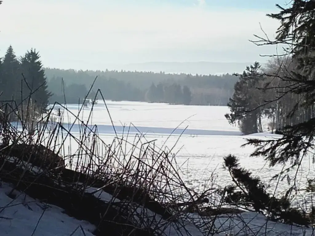 Johann Grafinger_Johann Adam_Kirchschlag_recensione