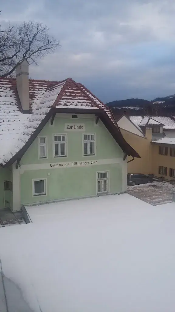 Kabul Design کابل دیزاین_Restaurant Zur 1000jährigen Linde = Renate Henrich_Kirchberg am Wechsel_recensione