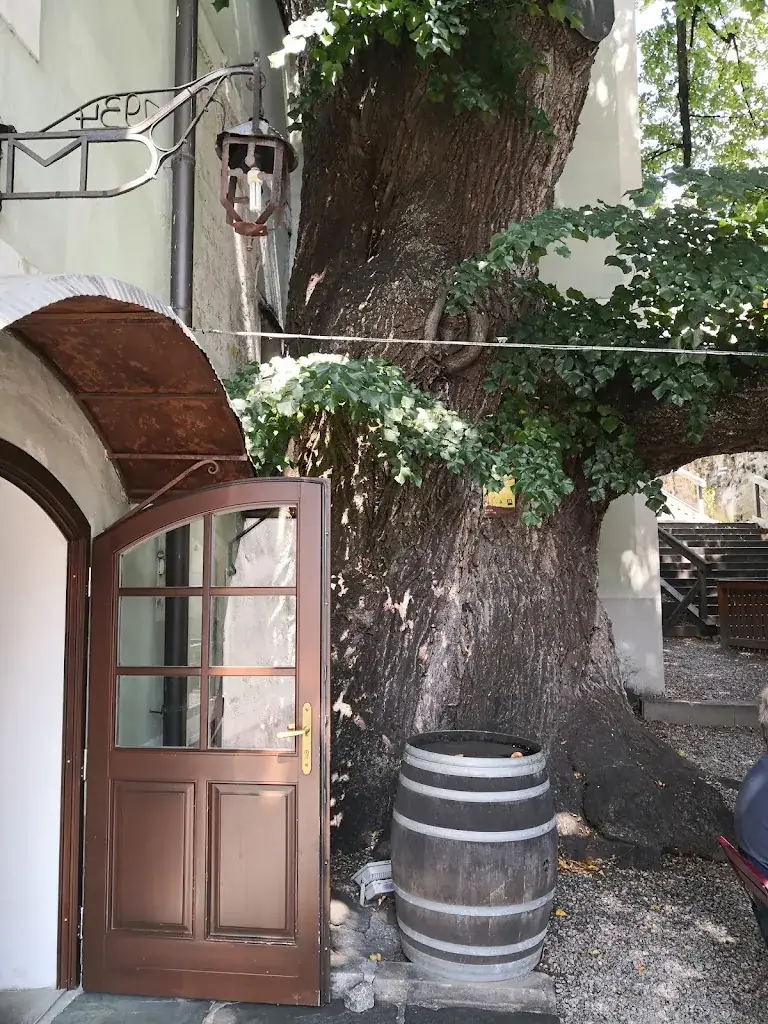 4CD 39K_Restaurant Zur 1000jährigen Linde = Renate Henrich_Kirchberg am Wechsel_recensione