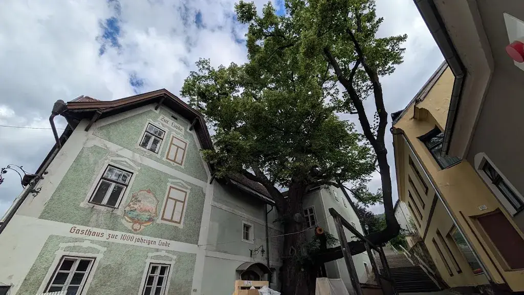 Restaurant Zur 1000jährigen Linde = Renate Henrich_Kirchberg am Wechsel_slider_image_2