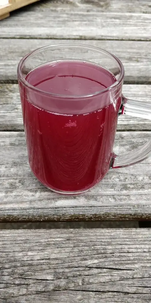 Menu_Steyersberger Schwaig family Leopold_Kirchberg am Wechsel_image_7