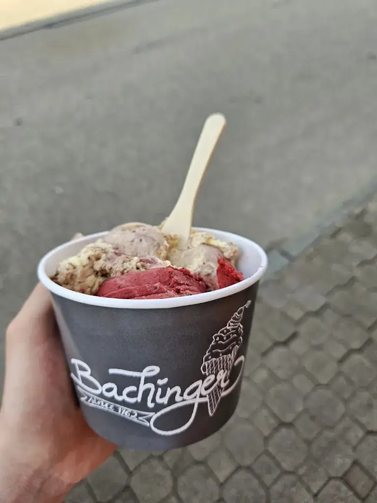 E_Franz_Vertrag_Ice Cafe Bachinger Leo_Kirchberg an der Pielach_review