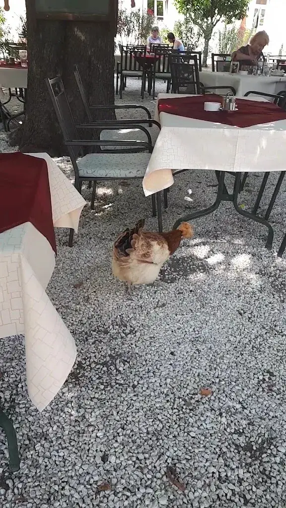 Gasthaus zum alten Zollhaus_Korneuburg_slider_image_2