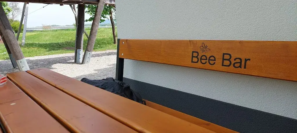 Y N_Bee Bar Heinzle Roland_Klein-Pöchlarn_recensione