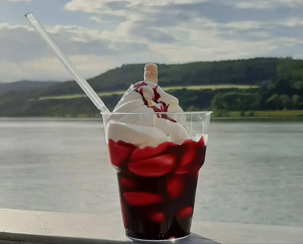 Zur Donauterrasse an der Donaulände Pöchlarn_Klein-Pöchlarn_slider_image_3