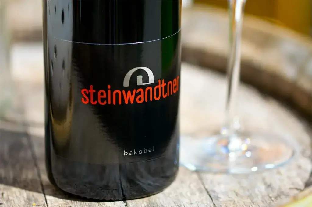 Menu_STOANIKELLER Heuriger in Jois_Jois_image_9