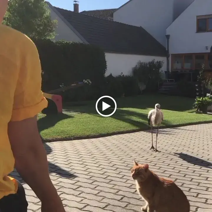 STOANIKELLER Heuriger in Jois_Jois_slider_image_2