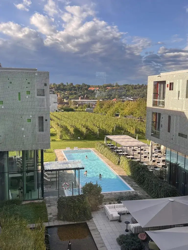 Nicholas DiSalvo_LOISIUM Wine & Spa Resort Langenlois_Langenlois_avis