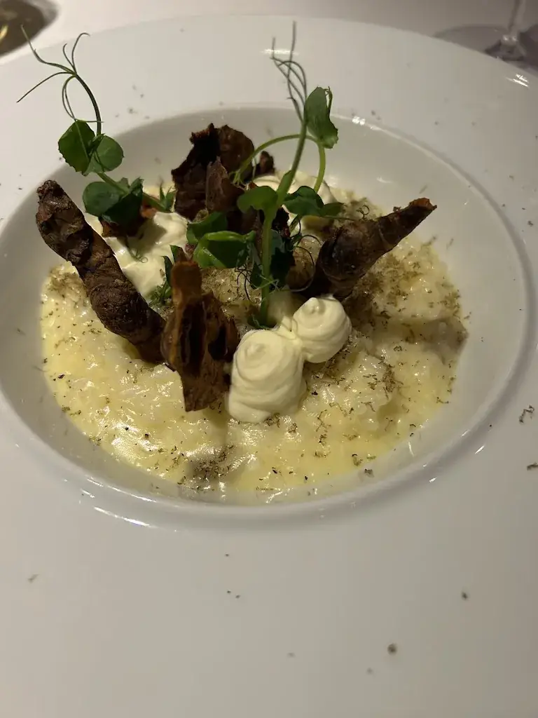 Otmar Kastner_Vineyard im Loisium_Langenlois_review