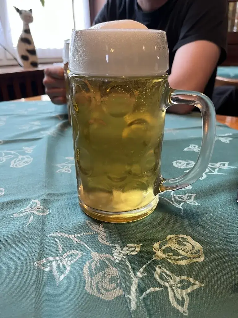 Christine Peral_Gasthaus Trost_Laa an der Thaya_avis