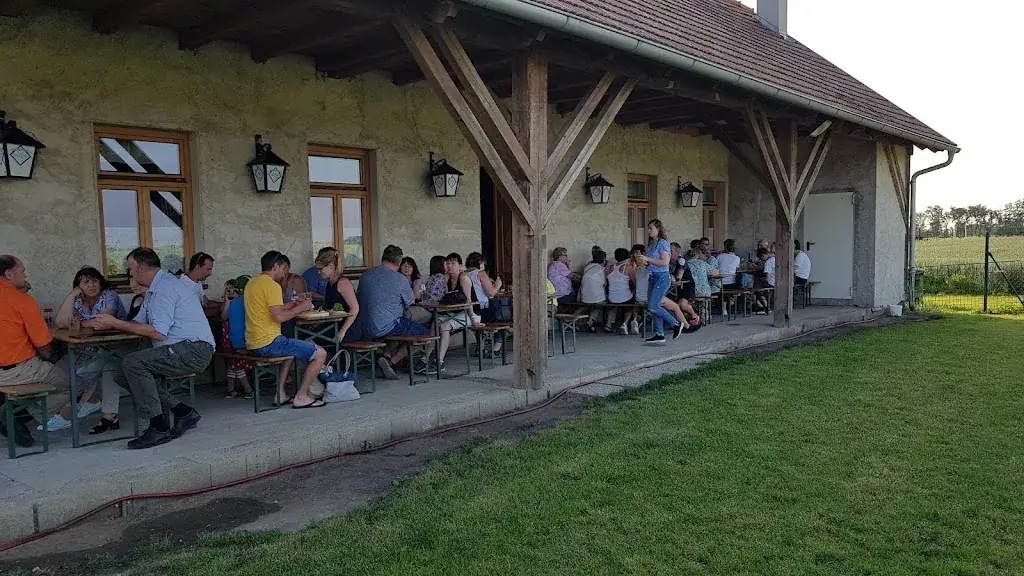 Gerhard Grafendorfer_Heurigen Diem_Laa an der Thaya_review