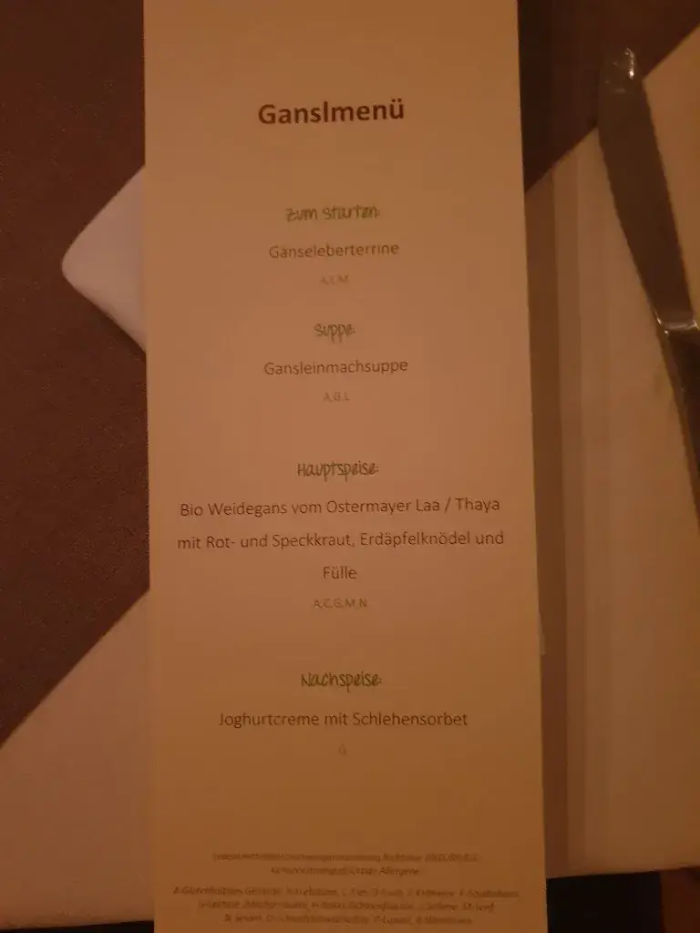 Menu_Gasthaus Herbst_Laa an der Thaya_image_4