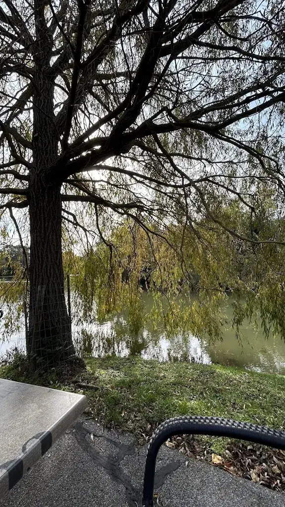 Irem Gülgeze_Restaurant_Laxenburg_review