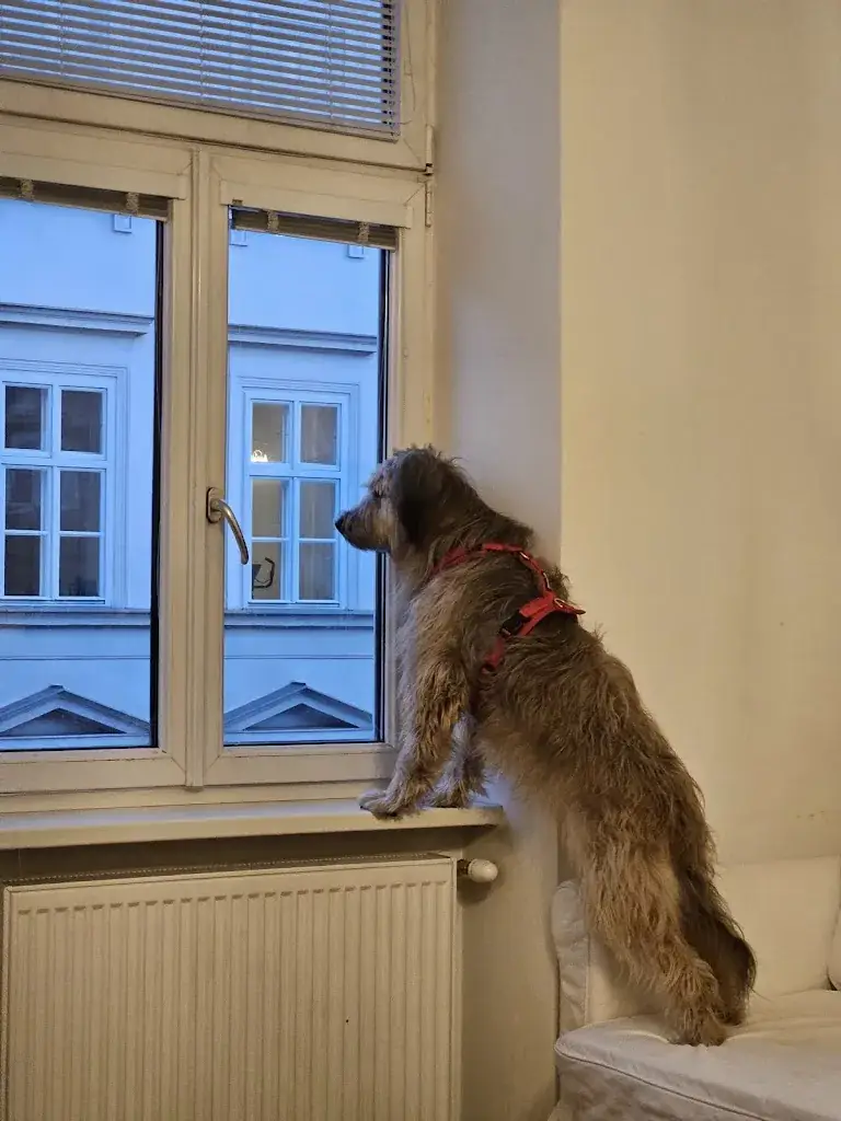 Gasthaus Lee ristorante a Leopoldsdorf