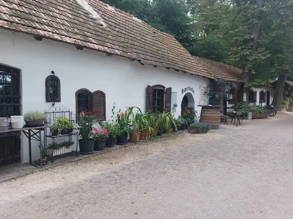 MP Ri_Asperlkeller_Leobendorf_review