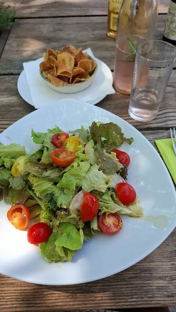 brigitte zeillinger_Floh's Donaugartl_Langenlebarn-Oberaigen_avis